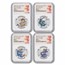 2024 AUS 1/2 oz Ag 10-Coin Colorized Lunar Dragon Set MS-70 NGC