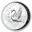2024 AUS 5 oz Silver Swan Proof COA #10 (High Relief w/Box & COA)