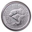 2024 Canada 1 oz $5 Silver The Majestic Polar Bears