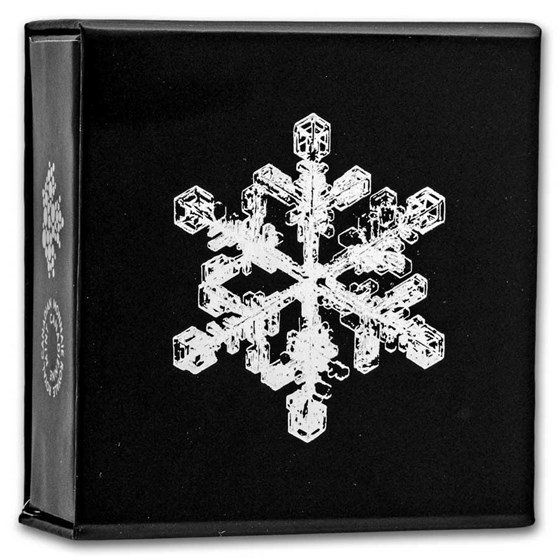 Buy 2024 Canadian 1 oz Silver $20 Snowflake (Box/COA) | APMEX