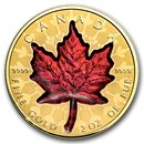 2024 Canada 2 oz Gold $200 Proud Maple (Box/COA)