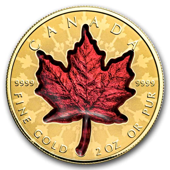 2024 Canada 2 oz Gold $200 Proud Maple (Box/COA)