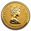 2024 Canada Gold 45th Anniv of the Gold Maple Leaf Fractional Set