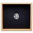 2024 China 3 gram Platinum Panda Proof