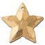 2024 CI 1 oz AG Holiday Ornament: Starry Sky Gild MS-70 PCGS FDI