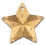 2024 CI 1 oz AG Holiday Ornament: Starry Sky Gilded MS-70 NGC FR