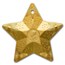 2024 CI 1 oz AG Holiday Ornament: Starry Sky Gilded MS-70 NGC FR