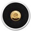 2024 Cook Islands 1/2 gram Gold Big City Lights: San Francisco