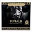 2024 Djibouti 1 kilo Silver Big Five of Africa Buffalo Spherical