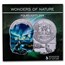 2024 Fiji 1 oz Silver Polar Lights Shaped Coin w/ Box & COA