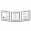 2024 Malta 1 oz Silver 5 Euro Golden Eagle Limited Edition