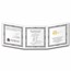 2024 Malta 2 oz Silver 10 Euro Golden Eagle Limited Edition