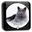 2024 Niue 1 oz Silver Proof Cat Breeds: British Shorthair