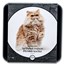 2024 Niue 1 oz Silver Proof Cat Breeds: Persian