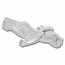 2024 Niue 2 oz Silver $5 Great Birds - Pelican