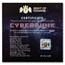 2024 Niue 200 grams Silver The Punk Universe: Cyberpunk