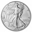 2024-(P) American Silver Eagle Star Privy MS-70 PCGS (FS)