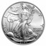 2024-(P) Silver Eagle Star Privy MS-69 PCGS (FS, Philadelphia)