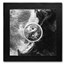 2024 Palau 1 oz Silver Yin and Yang Black Proof (w/ Box & COA)