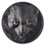 2024 Palau 2 oz Silver Hunters by Night: Ocelot PR-70 PCGS (FDI)