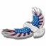 2024 PAMP 2 oz Silver $5 America the Free Bald Eagle