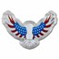 2024 PAMP 2 oz Silver $5 America the Free Bald Eagle