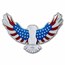 2024 PAMP 2 oz Silver $5 America the Free Bald Eagle