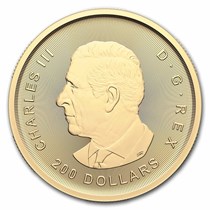 Buy 2024 Canadian 1 oz Gold Klondike Doré to .99999 Fine | APMEX