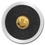 2024 Republic of Chad 1/2 gram Gold Red Panda