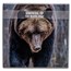 2024 Republic of Ghana 5 oz Silver Growing Up: Brown Bear