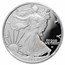 2024-S Proof Silver American Eagle PF-70 NGC (Moy)