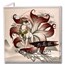 2024 Samoa 1 oz Silver Nine Tailed Fox
