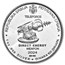 2024 Serbia 1 oz Proof Ag 100 Dinar Tesla: Direct Energy Weapon
