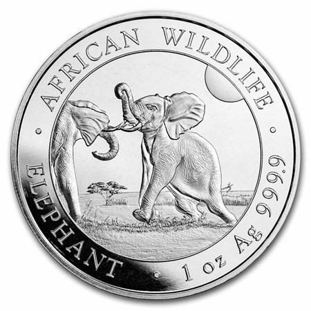 Buy 2024 Somalia 1 oz Silver Elephant BU | APMEX