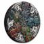 2024 Tuvalu 5 oz Silver Colorized Dragon and 5 Elements Antiqued