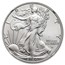 2024-W Burnished Silver Eagle MS-69 NGC (FDI)