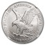 2024-W Burnished Silver Eagle MS-69 NGC (FDI)