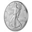 2024-W Burnished Silver Eagle MS-70 NGC (First Day of Issue)