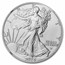2024-W Burnished Silver Eagle MS-70 NGC (Moy)