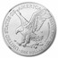 2024-W Burnished Silver Eagle MS-70 NGC (Moy)