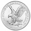 2025 1 oz American Silver Eagle - w/Colorful Nativity Card