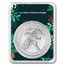 2025 1 oz American Silver Eagle - w/Green Christmas Holly Card