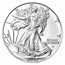 2025 1 oz American Silver Eagle - w/Premium Case, Happy Holidays