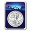 2025 1 oz American Silver Eagle - w/Starry Night Nativity Card