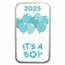 2025 1 oz Silver Colorized Bar - APMEX (It's A Boy, Balloons)