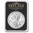 2025 1 oz Silver Eagle - w/Best Dad, Happy Father's Day, In TEP