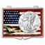 2025 1 oz Silver Eagle - w/Snap-Lock, American Flag & Eagle