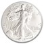 2025 American Silver Eagle MS-69 PCGS (FDI)