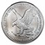 2025 American Silver Eagle MS-70 CAC (First Day of Delivery,Flag)