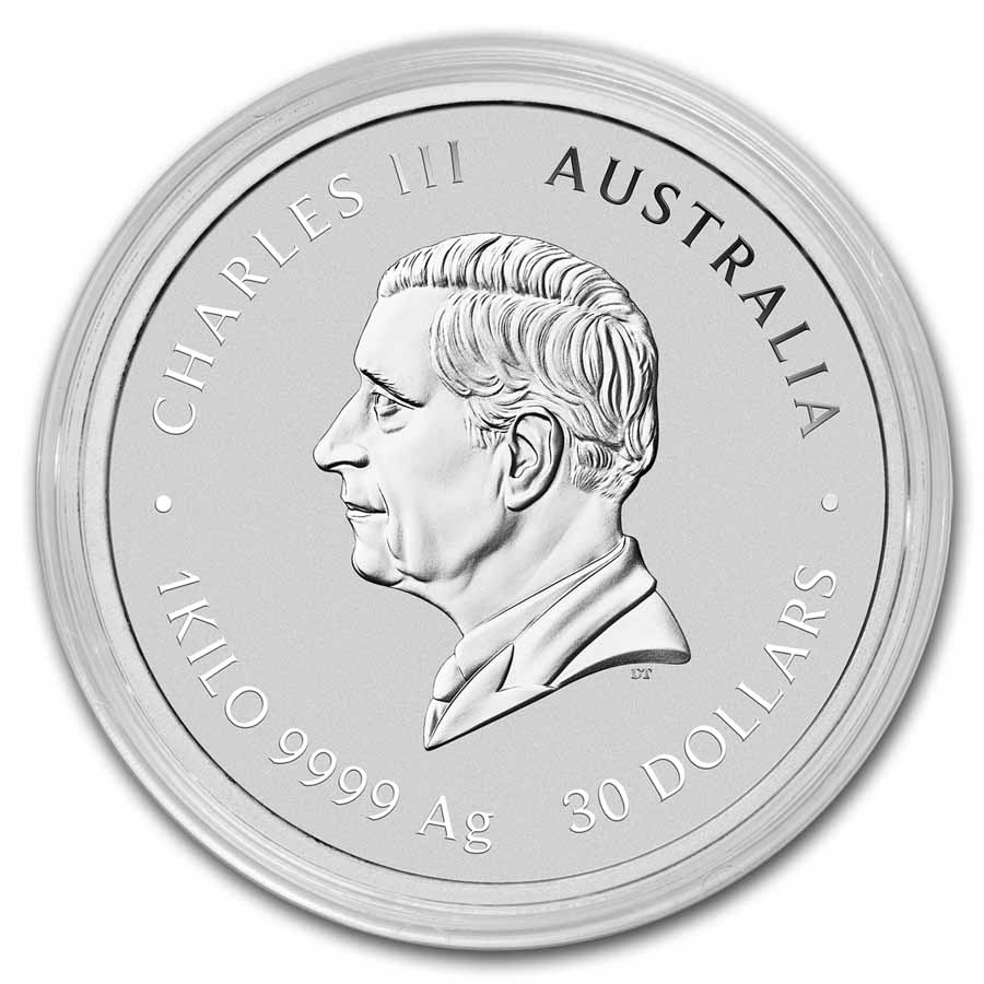 2025 Australia 1 kilo Silver Lunar Snake BU (Colorized, SIII) | eBay